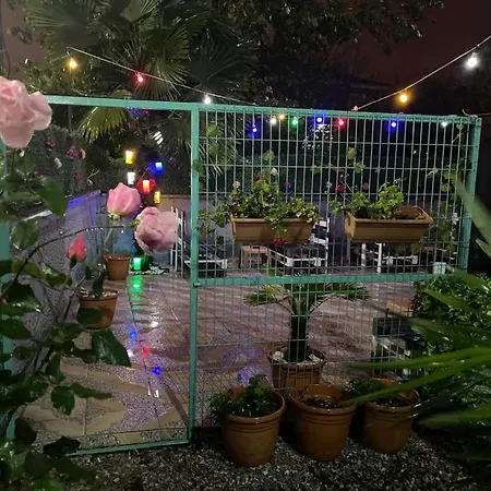 Hotel Terrace Boutique 4*