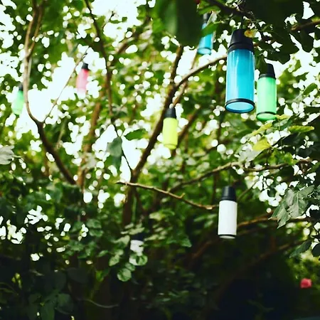Terrace Boutique 호텔